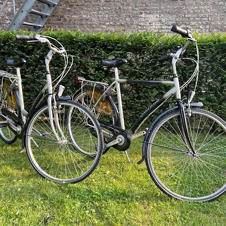 Sjaanderhof Maastricht